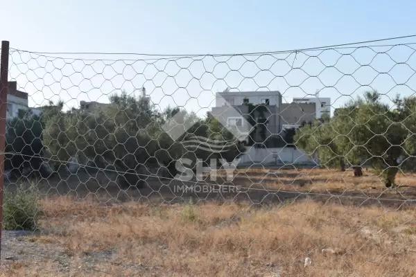 SHY Immobilière - Hammamet