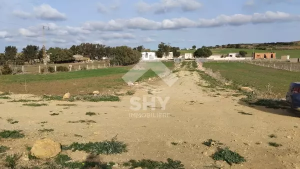 SHY Immobilière - Hammamet