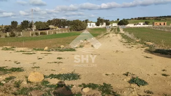 SHY Immobilière - Hammamet