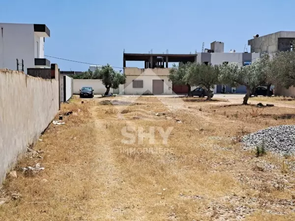 SHY Immobilière - Hammamet