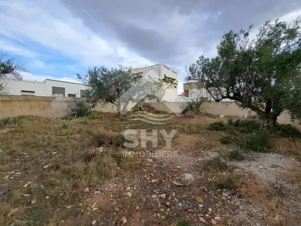 SHY Immobilière - Hammamet