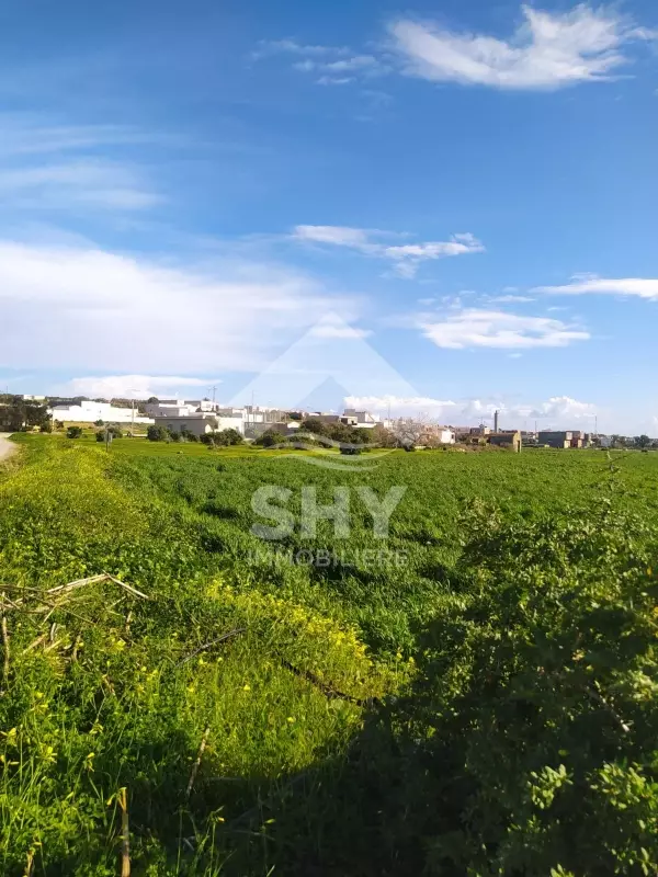 SHY Immobilière - Hammamet