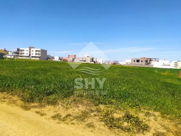 SHY Immobilière - Hammamet