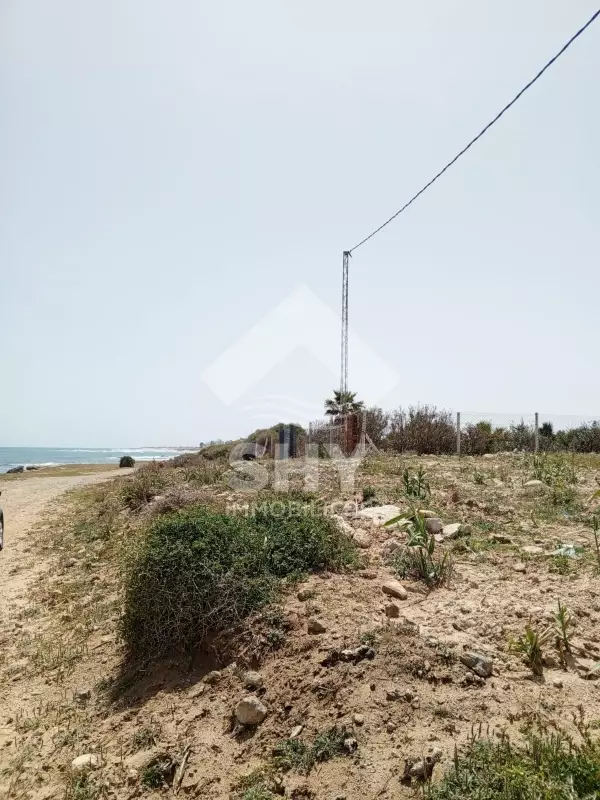 SHY Immobilière - Hammamet