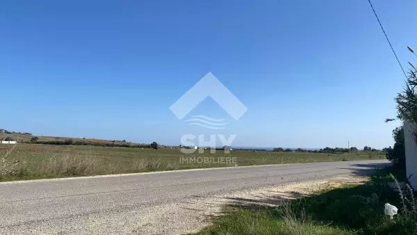 SHY Immobilière - Hammamet