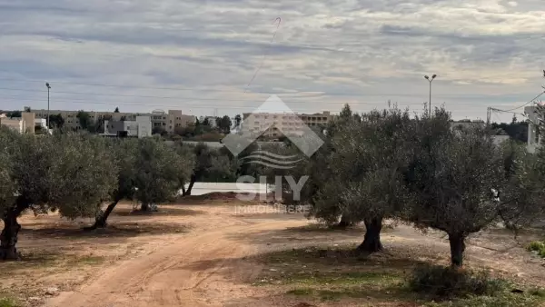 SHY Immobilière - Hammamet
