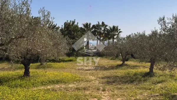 SHY Immobilière - Hammamet