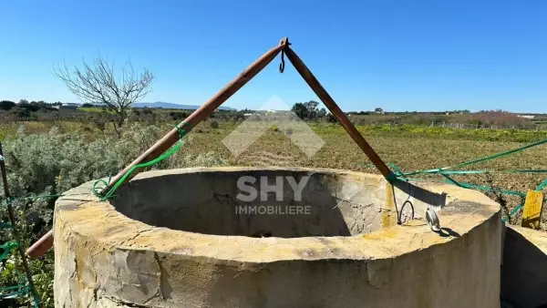 SHY Immobilière - Hammamet