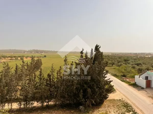 SHY Immobilière - Hammamet