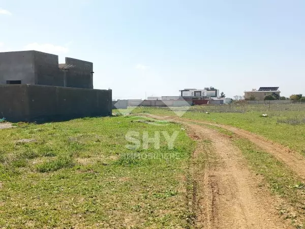 SHY Immobilière - Hammamet