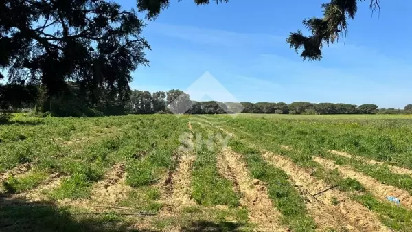 SHY Immobilière - Hammamet