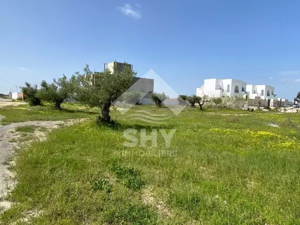 SHY Immobilière - Hammamet