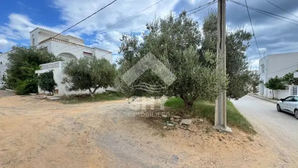 SHY Immobilière - Hammamet